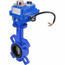Затвор дисковый поворотный WBV1432E-2W-Fb-H Ду50 Ру16, корпус - чугун GGG50, диск - нержавеющая сталь 316L, уплотнение - EPDM, с электроприводом QT-N-003EM-O1-220VAC-У1 blue 220В